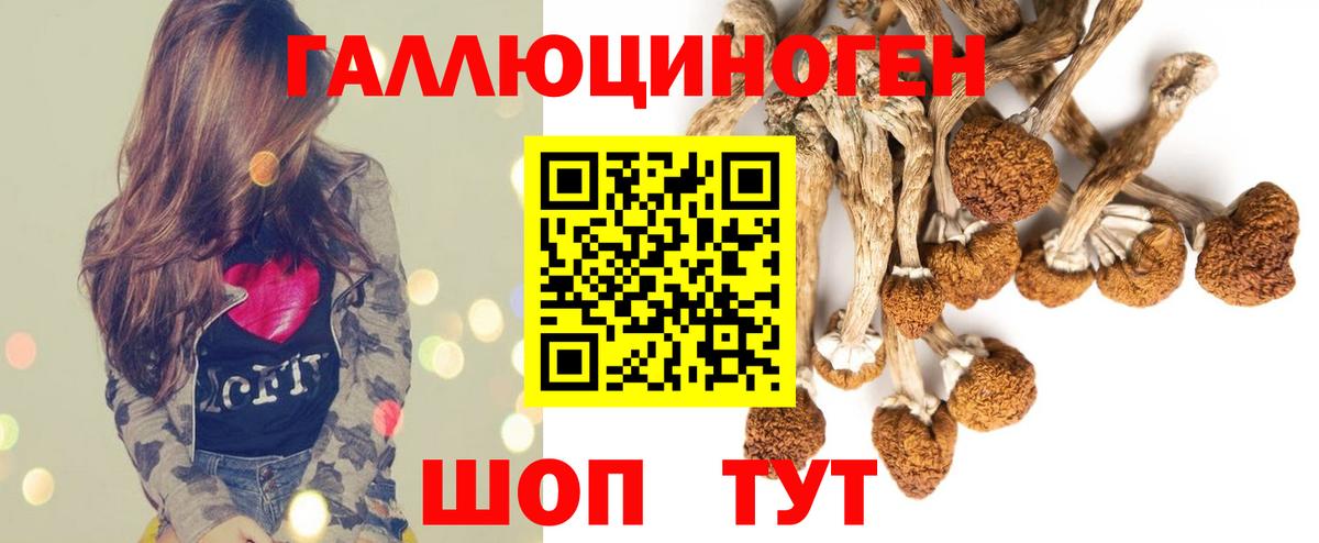 Воскресенск  Псилоцибиновые грибы Psilocybine cubensis  что такое   Вход с VPN 