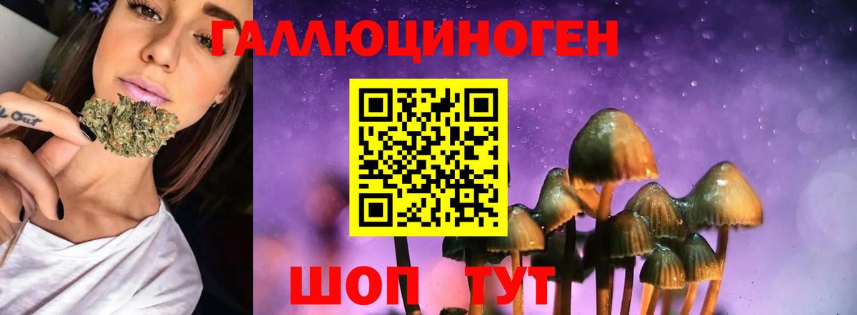 Галлюциногенные грибы GOLDEN TEACHER Воскресенск